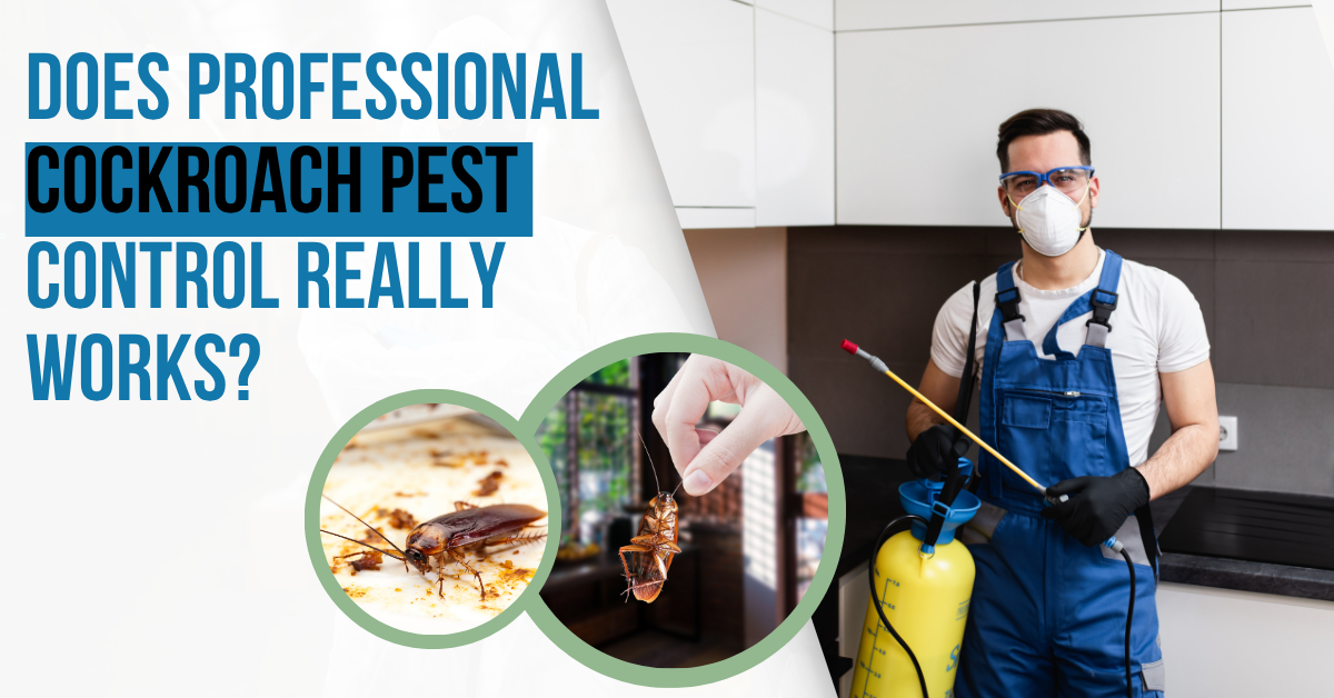 Farewell to Roaches with best Cockroach Pest Control Help. | MN Pest Elimination
