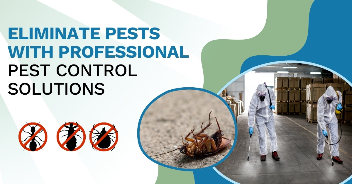 Professional Pest Control Solutions from MN Pest Elimination  | MN Pest Elimination