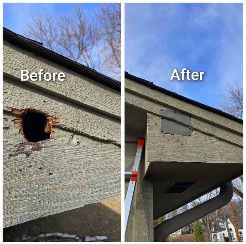 Exclusion Services | Blog | MN Pest Elimination