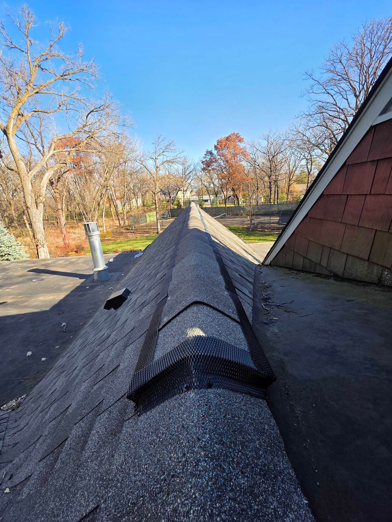 How Ridge-Guard Keeps Bats, Mice, and Squirrels Out of Your Attic | MN Pest Elimination